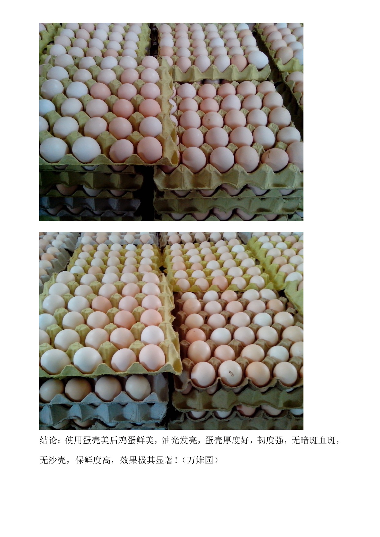 PP电子(中国)官方网站·游戏试玩平台