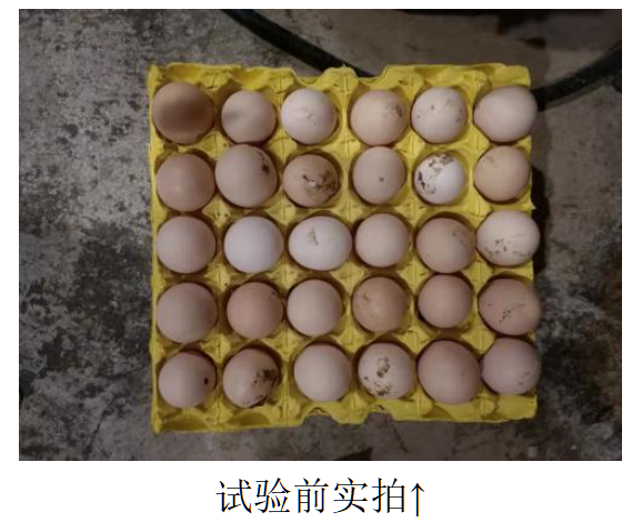 PP电子(中国)官方网站·游戏试玩平台