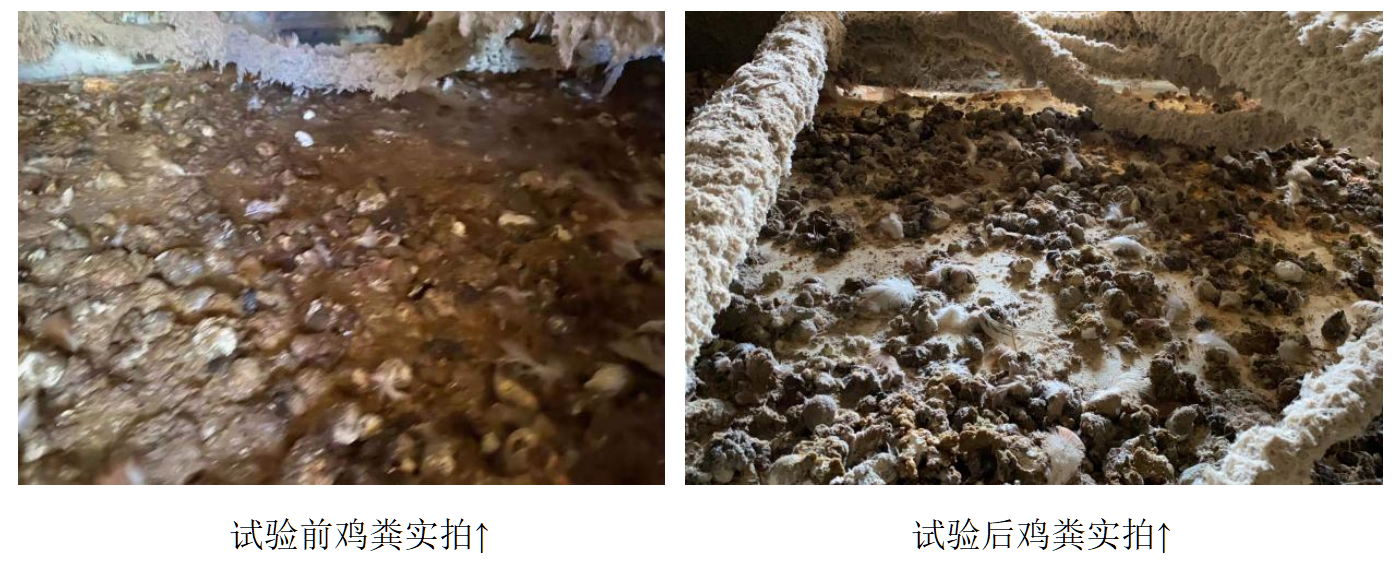 PP电子(中国)官方网站·游戏试玩平台