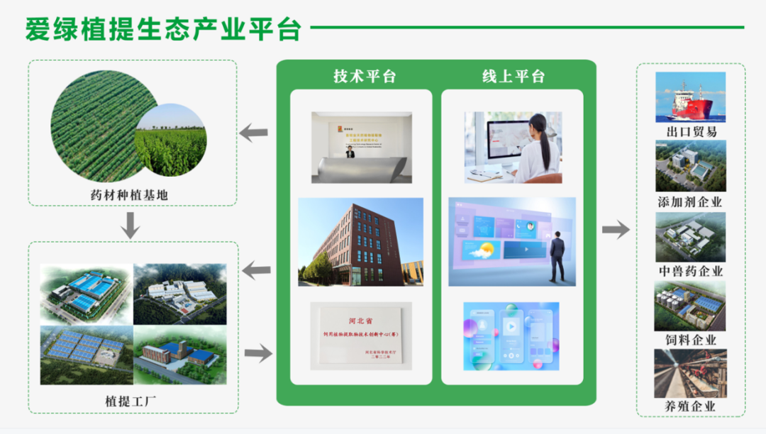 PP电子(中国)官方网站·游戏试玩平台