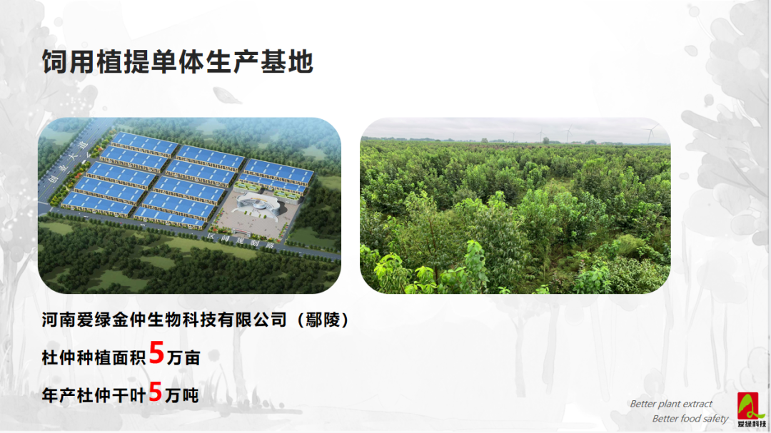 PP电子(中国)官方网站·游戏试玩平台