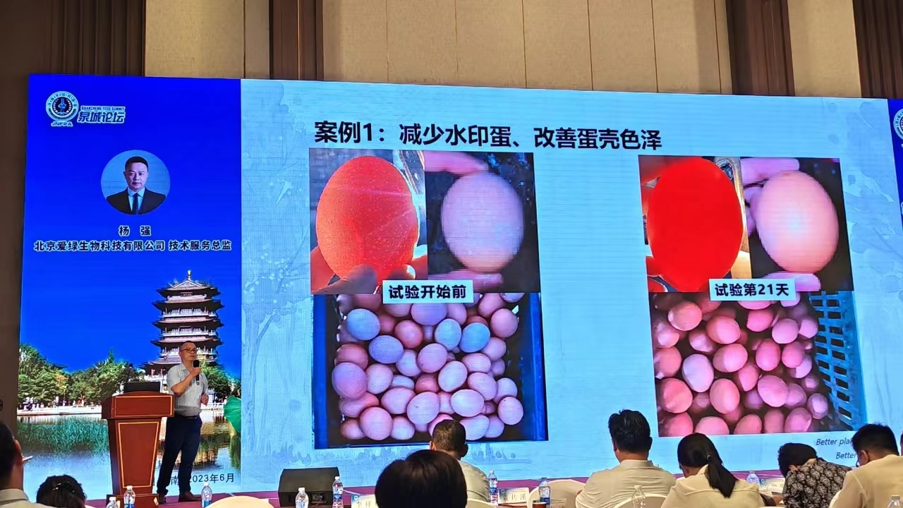 PP电子(中国)官方网站·游戏试玩平台
